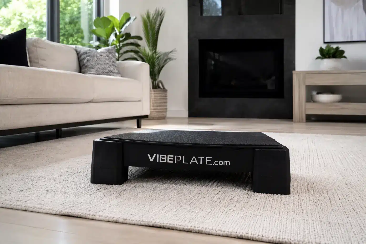 VibePlate Mini VibePlate Mini in a moddern. living room